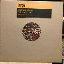 Mateo & Matos / Celebrate Life_画像3