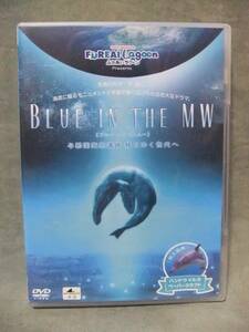 ★BLUE IN THE MW ブルー・イン・ザ・ムー 与那国海底遺跡 移りゆく世代へ