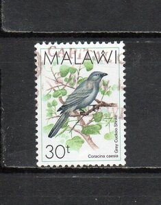 17B032malawi1988 year normal bird 30t used 