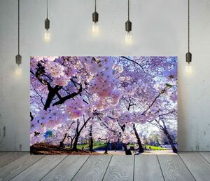 Art hand Auction Sakura Sakura Poster Photo Photo Luxury Canvas Framed Picture A1 Art Panel Scandinavian Flower Picture Overseas Painting Goods Interior 3, printed matter, poster, others