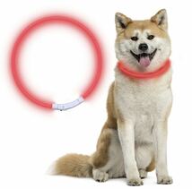 首輪 犬 光る ペット LEDライト USB充電式 取付簡単 調整可能 レッド_画像1