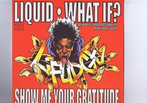 盤質良好 US盤 12inch L-Fudge / Liquid / What If? / Show Me Your Gratitude / Spina RWK 145_画像1