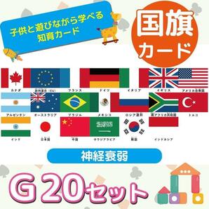 【G20】 世界の国旗　カード　20種類　2セット　40枚　神経衰弱　知育玩具