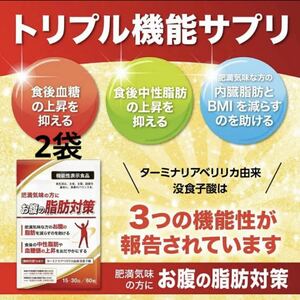 お腹の脂肪対策　15日〜30日分（60粒）2袋 DUEN