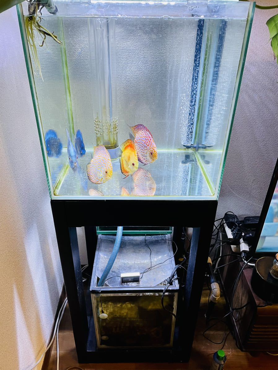 90㎝ 重厚 ガラス水槽 - 通販 - guianegro.com.br