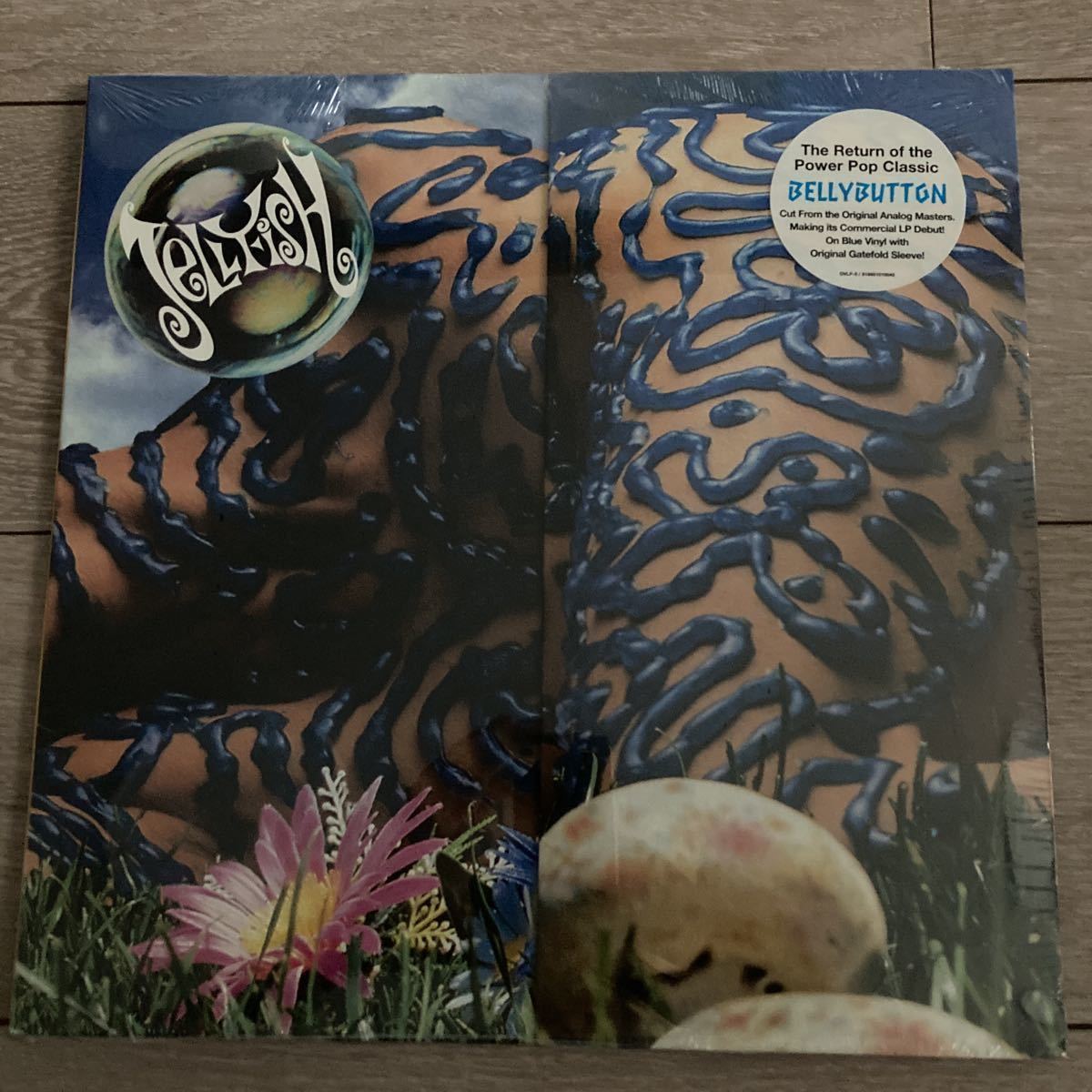 ヤフオク! -「jellyfish」(ロック、ポップス一般) (ロック、ポップス