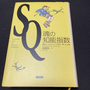 書籍　SQ 魂の知能指数