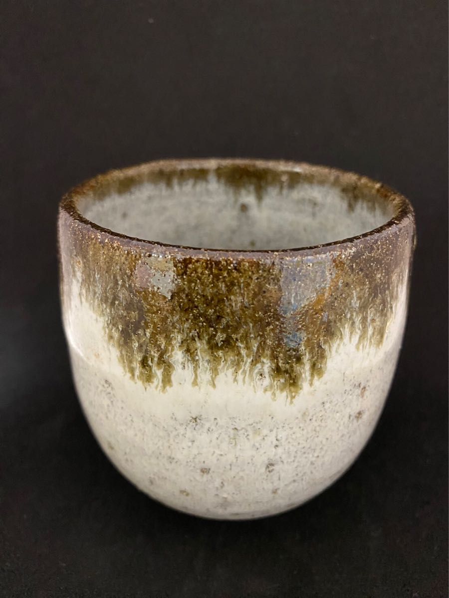 ダイゾー ナチュラル 茶道具 唐津 茶碗 中里重利 共箱 陶芸 茶会 抹茶