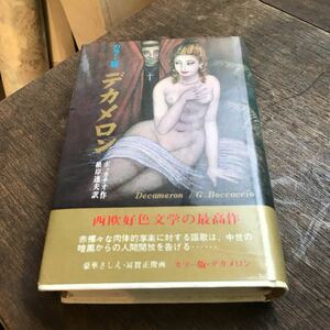 ボッカチオ カラー版 デカメロン 1967年 根岸達夫訳 Decameron/G.Boccaccio