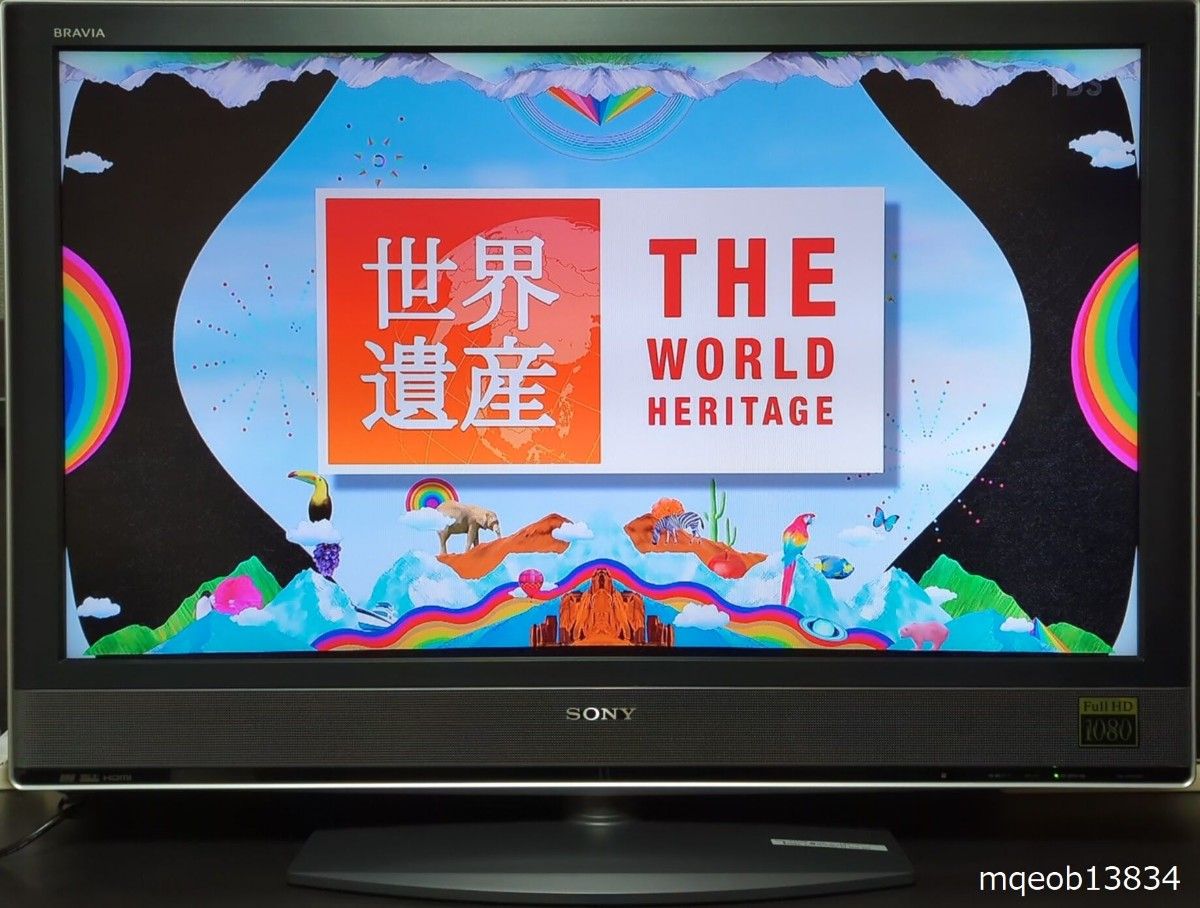 プレミアム ポータブル テレビ SONY ソニー ブルーレイプレイヤー BDP