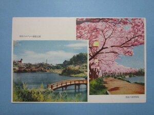 e5804福島県郡山　酒蓋公園と荒池の夜桜電飾絵葉書