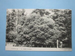 e6844戦前絵葉書　静岡県　官幣大社三島神社木犀