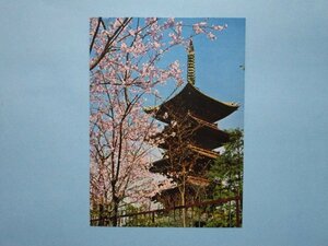 e7831東京上野東照宮五重の塔附近の桜絵葉書
