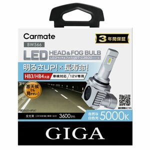 送料無料（沖縄・離島除く） カーメイト GIGA LEDヘッドバルブ C3600 5000K HB3/HB4【BW566】