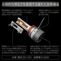 送料無料（沖縄・離島除く）カーメイト GIGA LEDフォグバルブ F5000S【BW5151】_画像10