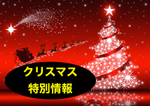 クリスマス特別情報セット　稼げなくても自信がなくてもフリーランスとしてデビューしても大丈夫　ネットビジネスの攻略方法はこれ　_画像3