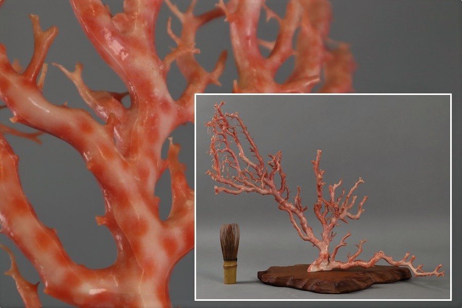 天然石 本サンゴ 本珊瑚 原木枝タンブル 7個セット B587 ラスト 