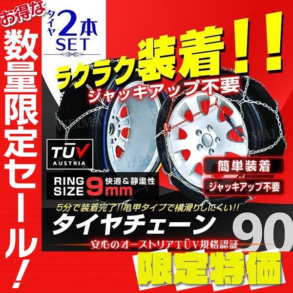 連星亀甲碧瑠璃鸞鳳玉モンスト幅約17cm大苗特選サボテンGUNJOW