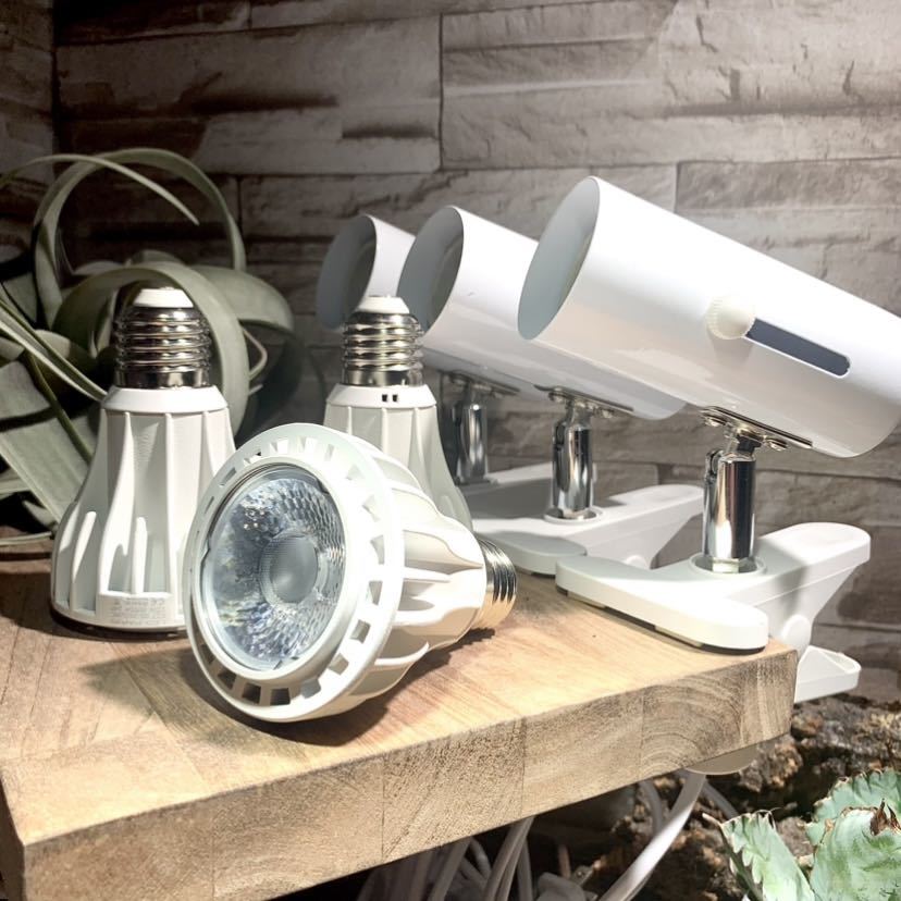 SALE/86%OFF】 24w植物育成ライトGrowLight 6000K COBLED 3個