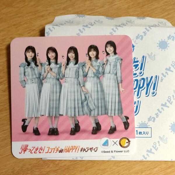 日向坂46 ココイチ キャンペーン 第二弾 コースター