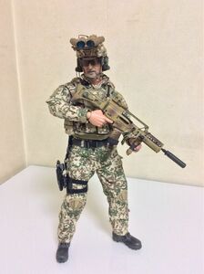 1/6 ミリタリーフィギュア　フィギュア　damtoys アクションフィギュア　soldier story did ホットトイズ