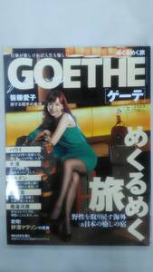 GOETHE (ゲーテ) 2013年 02月号　　Ybook-0428