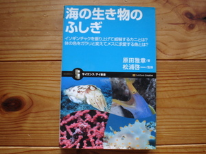 *サイエンス・アイ新書　海の生物のふしぎ　原田雅章　SoftBank