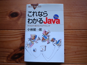 *BULE BACKS this if understand Java making while ... programming Kobayashi . one .CD-ROM attaching 