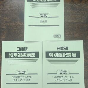 中学受験 日能研 6年 算数 2023 冬季講習 特別選択講座 合格力ファイナル スキルアップ応用＋基礎＋数と量 解答解説付