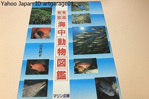  have .* have . sea middle animal illustrated reference book / regular price 23000 jpy /.... contents .. body .. medicine place ... taste did . is book@ paper. large ... for / practical use did writing . approximately 600 compilation 