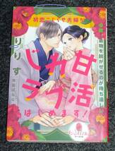  初恋こじらせ夫婦がじれ甘ラブ活はじめます! (オパール文庫) 文庫 2022/3　★りりす (著), 南国 ばなな (イラスト)【P04】_画像1