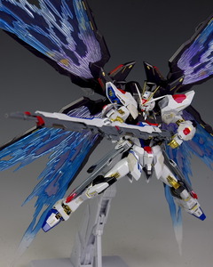 * domestic regular goods METAL BUILD Strike freedom Gundam & soul web light. wing option set SEED FREEDOM mighty - Rising dismantlement Takumi machine 