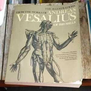 ☆The Illustrations from the Works of Andreas Vesalius of Brussels☆