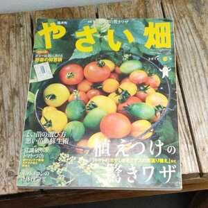 ☆やさい畑2015年　春号　　植えつけの驚きワザ☆