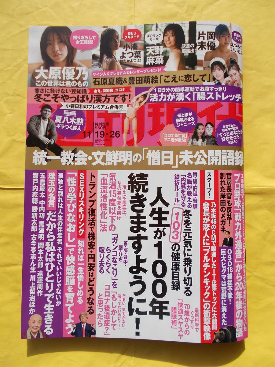 ヤフオク! -週刊現代 袋とじ(本、雑誌)の中古品・新品・古本一覧