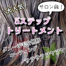 ディープレイヤー 美容室の5段階システムトリートメント ＋ ホームケア 1回分　コメントいただければ新たに商品ページを作成致します！！_画像1