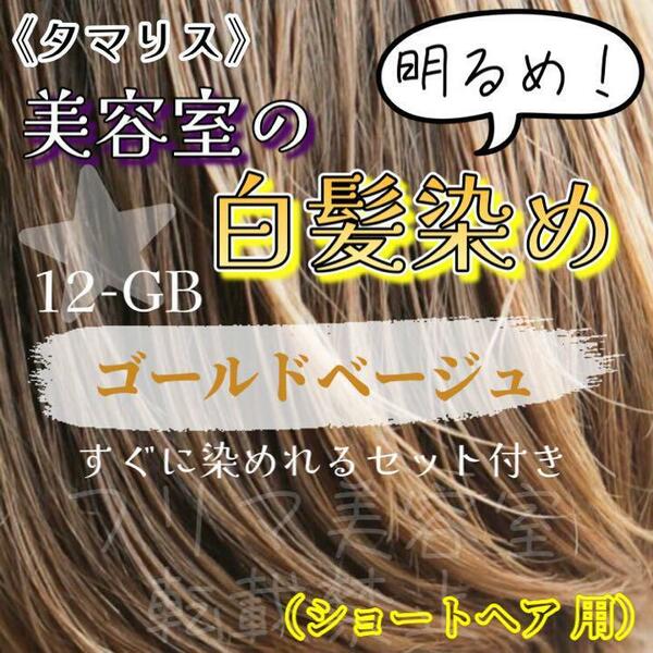 タマリス　すぐに染めれる白髪染めセットS　ゴールドベージュ12 （明るめ）　グレイカラー　ショート用