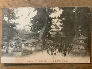 PP-7999 ■送料無料■ 京都府 北野天満宮 女性 美人 和装 着物 狛犬 人 神社 寺 菊切手 レトロ 絵葉書 エンタイア 写真 古写真/くNAら