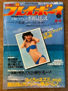 BB-4098 ■送料無料■ 週刊プレイボーイ NO.23 本 雑誌 古本 古書 漫画 写真 柏原芳恵 印刷物 昭和56年6月 184P ●見開き不足有/くKAら