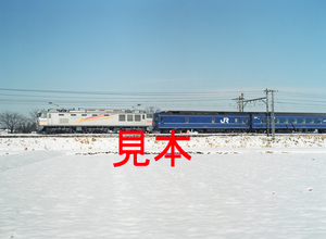 鉄道写真、645ネガデータ、161478320010、EF510-510＋北斗星、JR東北本線、蓮田〜東大宮、2011.02.15、（4591×3362）