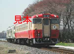 鉄道写真、645ネガデータ、161606270002、キハ40系（1003旧国鉄色＋1009）、JR烏山線、宝積寺〜下野花岡、2011.04.14、（4537×3322）