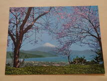 絵葉書　日本平の絶景　日本平の桜花と清水市の眺望_画像1