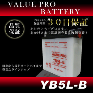 YB5L-B 開放型バッテリー ValuePro / 互換 FB5L-B TZR125 TZR250 1KT 2XT RZ250R TDR250 SRX-4 SRX-6 RZ125 XT400 XT600Zの画像2