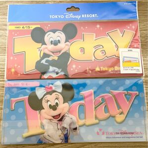 ディズニーリゾート トゥデイ チケットケース 2枚セット