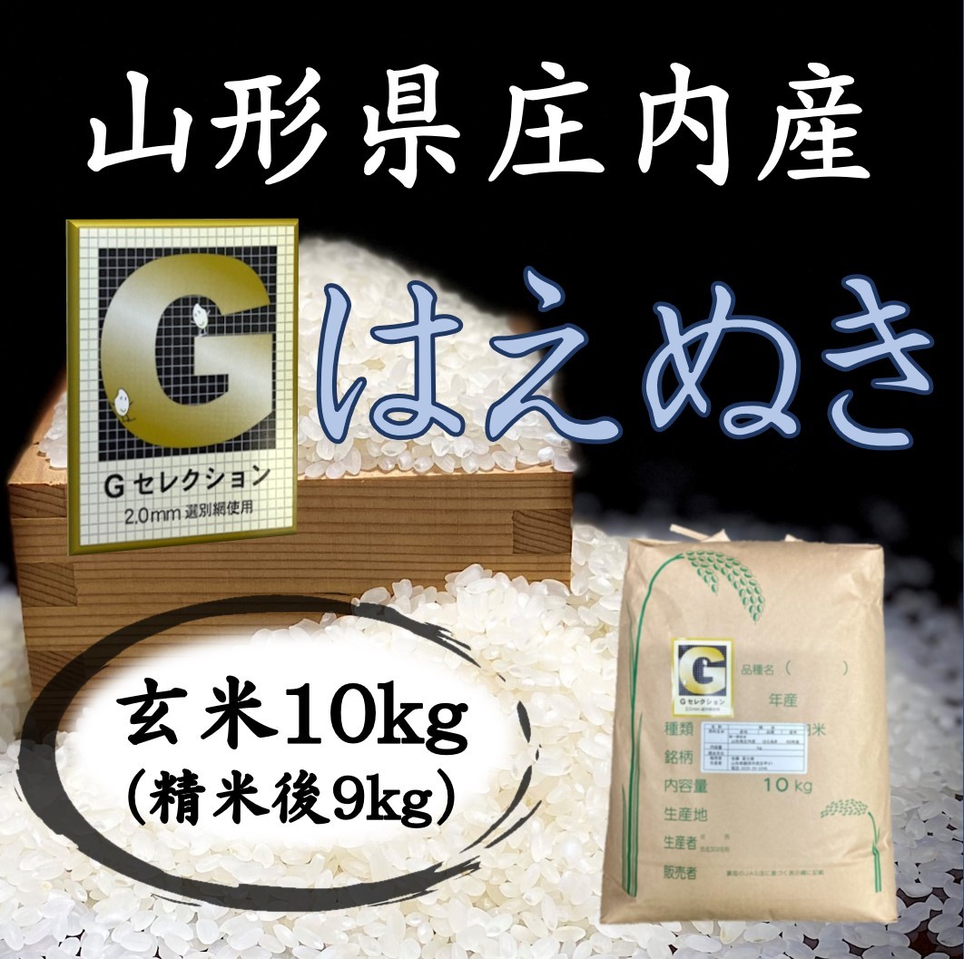 最初の 新米 山形県庄内産 食べ比べセット 玄米10kg Gセレクション