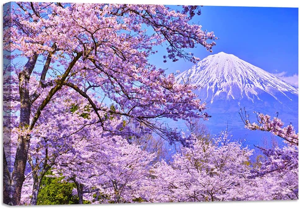 جبل فوجي زهر الكرز إطار خشبي الجدار الشنق قماش اللوحة الفن الحديث اللوحة الجديدة قماش اللوحة 60x40 سنتيمتر لوحة فنية ملصق فني داخلي, عمل فني, تلوين, آحرون