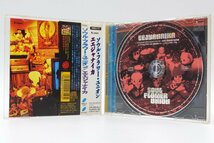 ■【YS-1】 ソウルフラワー ユニオン ■ CD 5枚セット ■ カイム イビリマ・エエジャナイカ・ワタツミ ヤマツミ・他 【同梱可能商品】■A_画像4