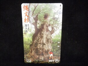  telephone card 105 frequency . writing Japanese cedar Kagoshima prefecture shop . island unused T-7179