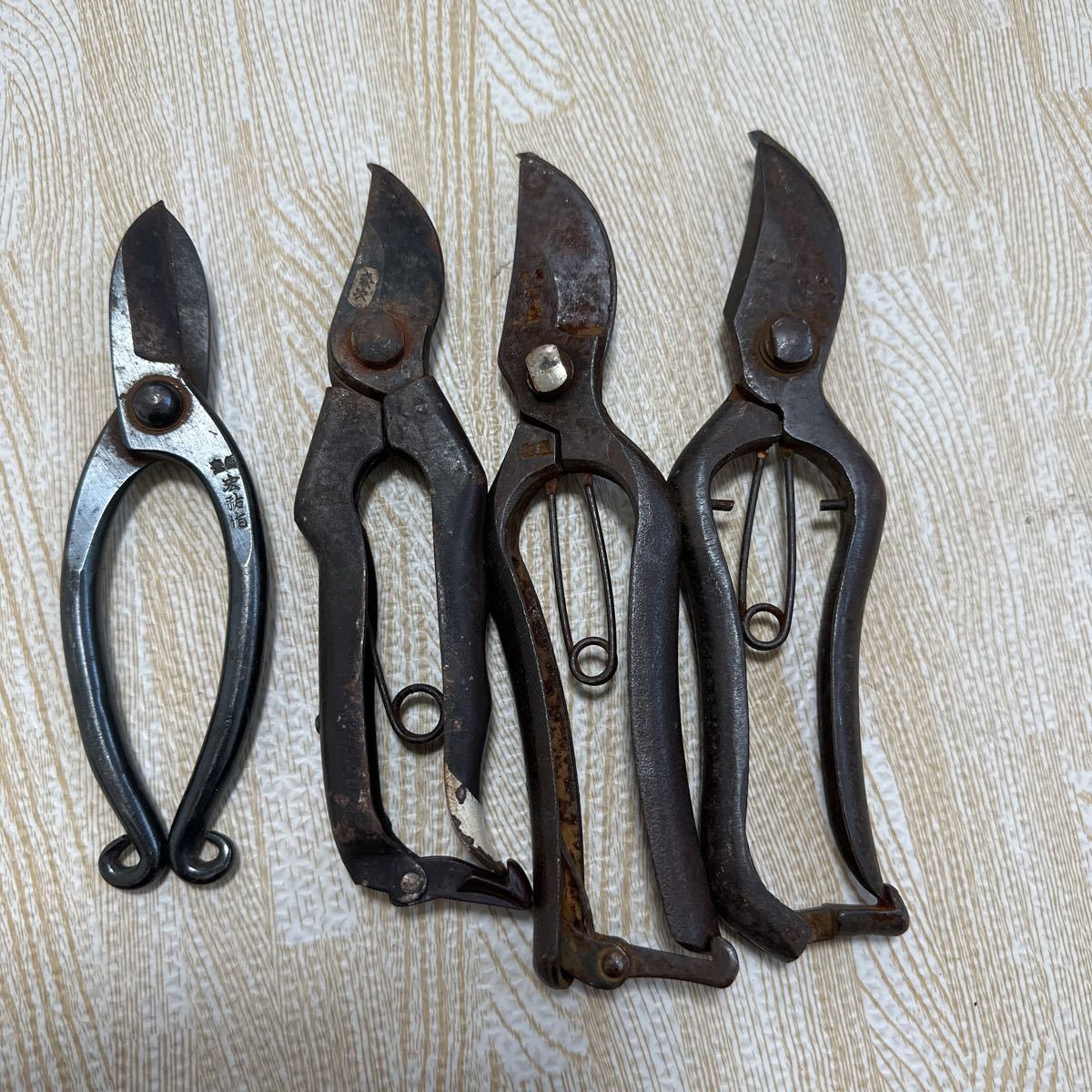 Begin掲載 五代金光 植木鋏 刃長 珍品 津島型014 | upengenhariaej.com.br