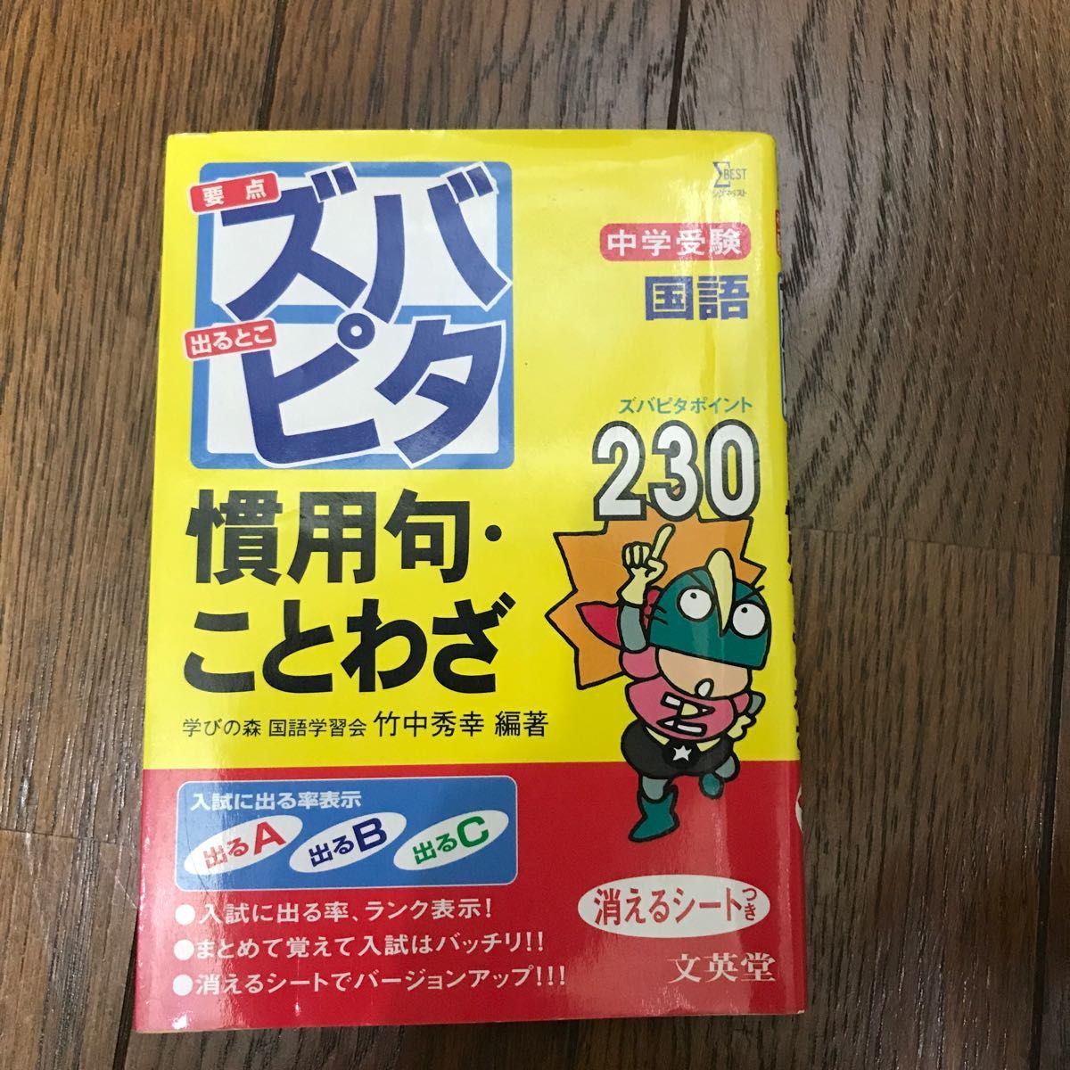 2020年度 ブンブンどりむ ワクワク入門コース 一年分 超激安特価 ...